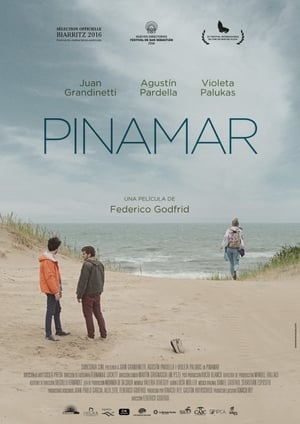 Poster Pinamar 2016