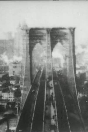 Image Panorama from the Tower of the Brooklyn Bridge
