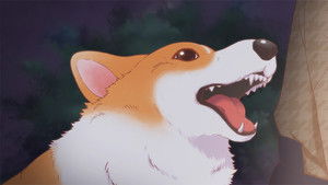 The Corgi and the Samurai: 1×18