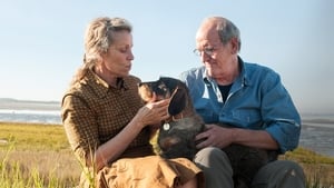 Olive Kitteridge: 1×3