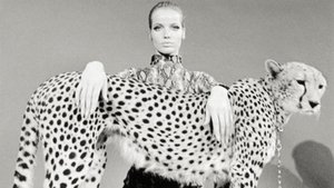 Veruschka - poesia di una donna film complet