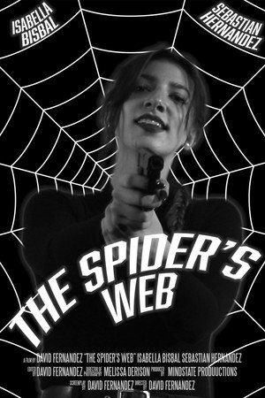 The Spider's Web 3