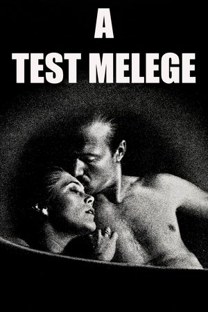 watch body heat online free watch body heat online free