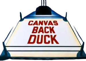 Canvas Back Duck — Logos 1