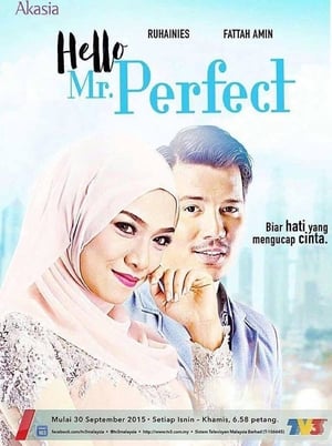 Poster Hello, Mr. Perfect! 2015