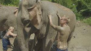 Going Wild in Thailand - Episode 6