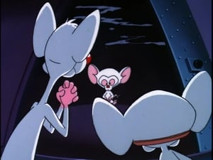 Pinky y Cerebro: 2×11