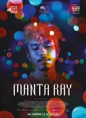 Poster Manta Ray 2019