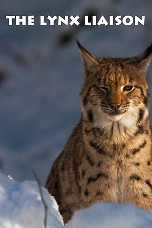 Image The Lynx Liaison