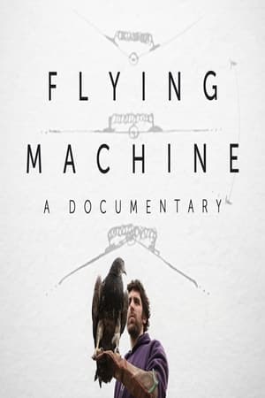 Image Flying Machine