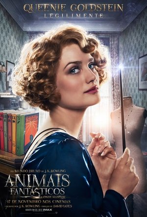 <Images posters