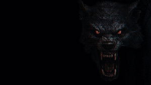 The Fairfield County Four