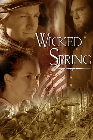 Poster Wicked Spring (2002)