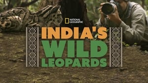 India’s Wild Leopards