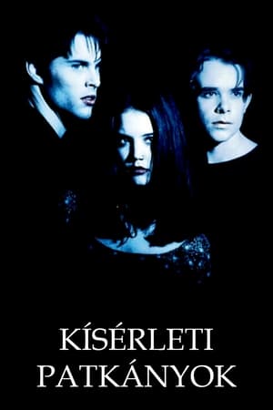 Poster Kísérleti patkányok 1998