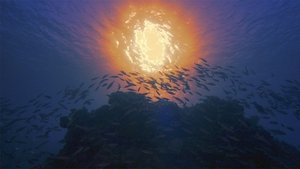 The Anthropocene