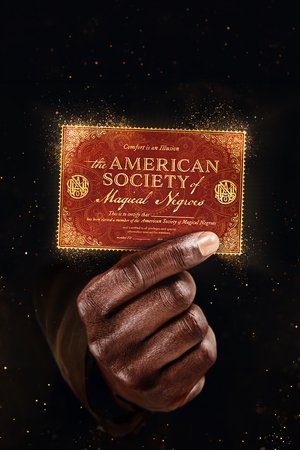 The American Society of Magical Negroes