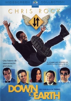 Poster De vuelta a la Tierra 2001