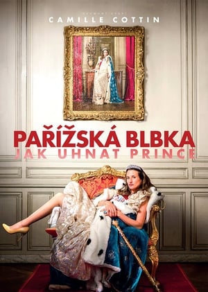 Poster Pařížská blbka 2015