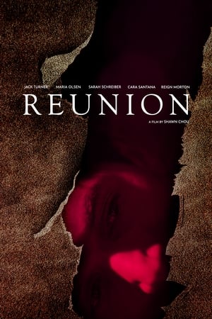 Poster Reunion (2015)
