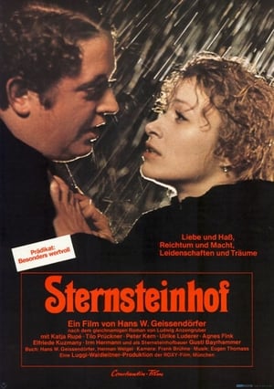 The Sternstein Manor poster