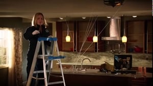 CSI: Crime Scene Investigation: 14×18