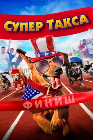 Poster Супер Такса 2015