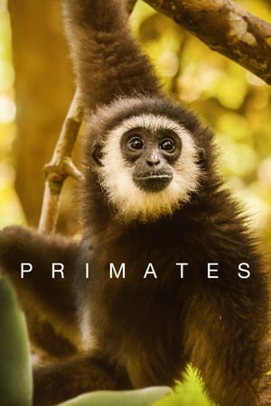 pelicula Primates (2020)