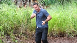 Hawaii Five-0 6 x 13