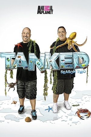 Tanked: Temporada 2