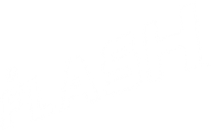 LEGO Super Heróis DC: O Flash
