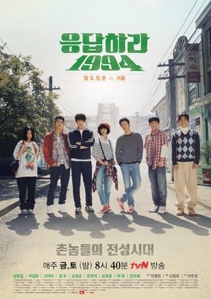 Reply 1994: Season 1