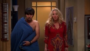 The Big Bang Theory Season 4 Episode 24