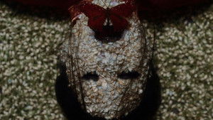 The Butterfly House (2025)