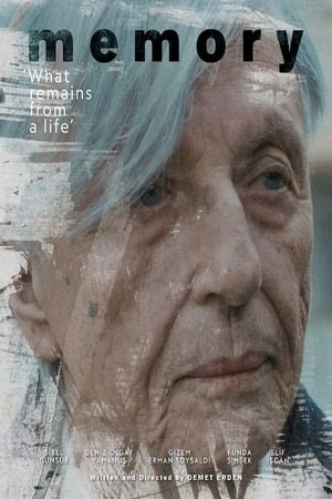 Poster Memory (2019)
