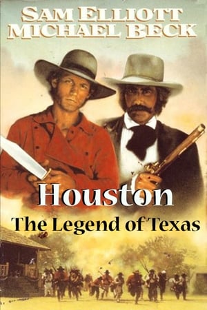 Houston: The Legend of Texas poster