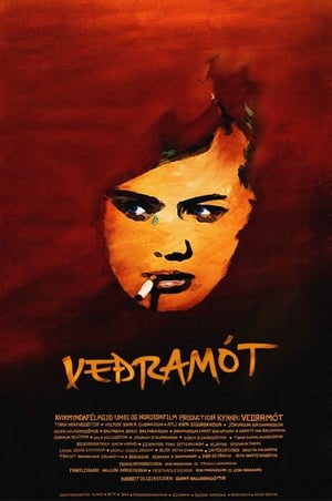 Poster Veðramót 2007