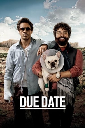 Click for trailer, plot details and rating of Due Date (2010)