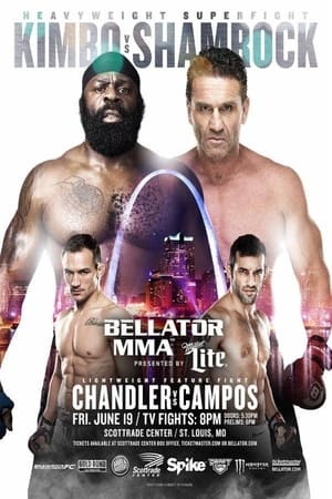 Poster Bellator 138: Unfinished Business 2015