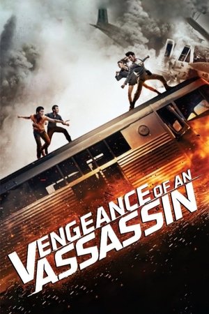 Image Vengeance d'un Assassin