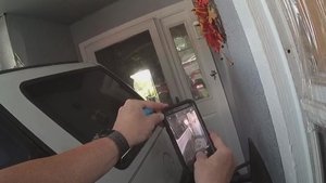 Revenge in Reverse