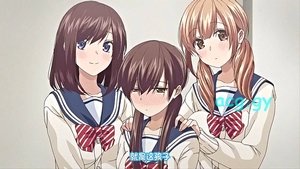 Kiss Hug Season 1 Episode 2