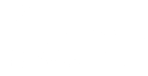 Y: El último hombre — Logos 4