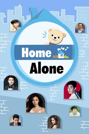 Image Home Alone