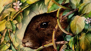 Watership Down
