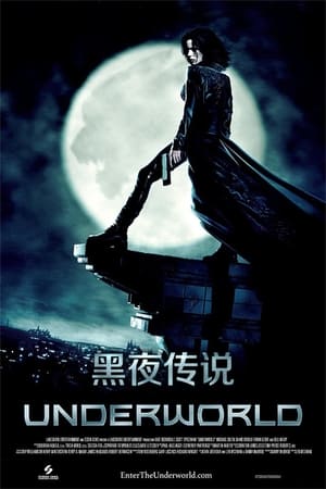 Poster 黑夜传说 2003