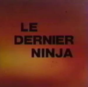 O Último Ninja — Logos 2
