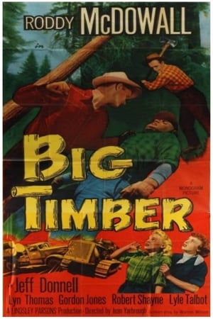 Big Timber poster