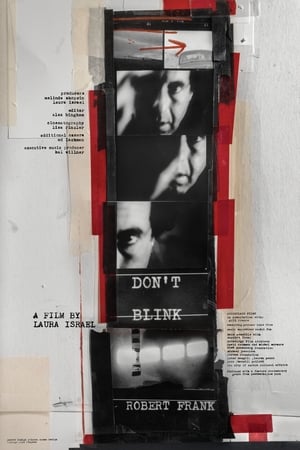 Don't Blink: Robert Frank poster