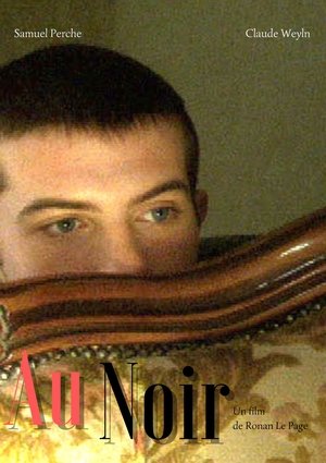 Poster Au noir (2003)